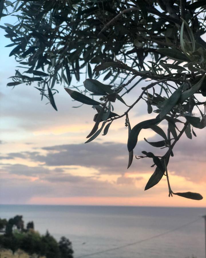 Hotel Senator Ulcinj Luaran gambar