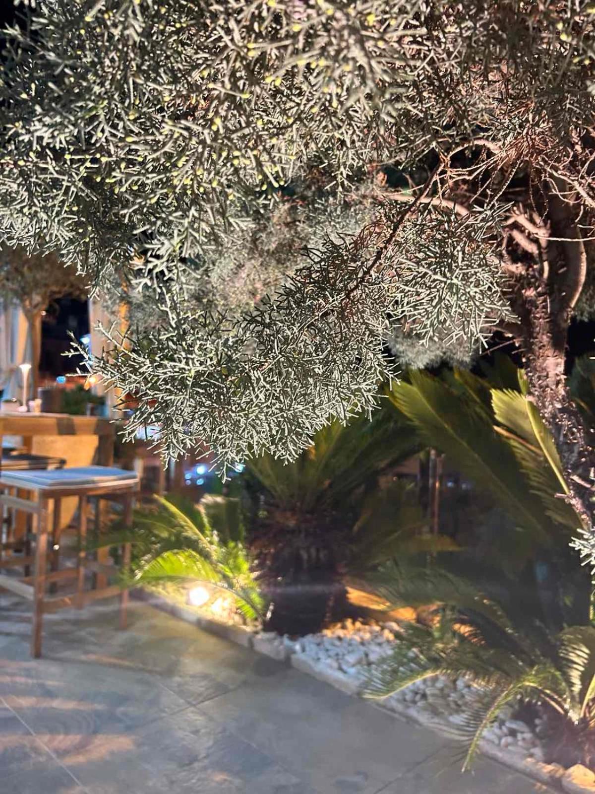 Hotel Senator Ulcinj Luaran gambar